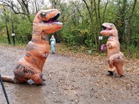 Volunteer dinos